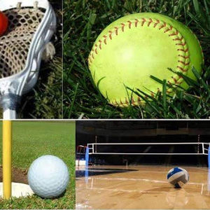 Meet your Posher, Bailey